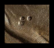 [Click to enlarge image]