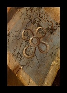 [Click to enlarge image]